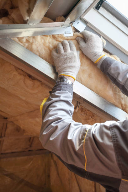 Best Energy-efficient Insulation  in Whiteman Af, MO