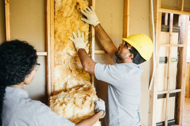 Reliable Whiteman Af, MO Insulation Contractor Solutions