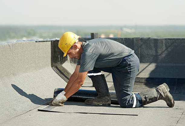 Best Insulation Repair Services  in Whiteman Af, MO