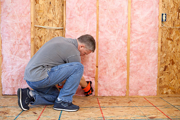 Best Insulation Repair Services  in Whiteman Af, MO
