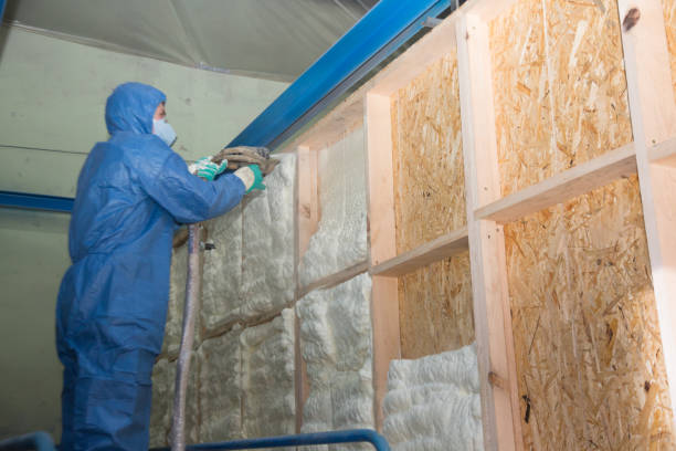 Best Commercial Insulation Contractor  in Whiteman Af, MO
