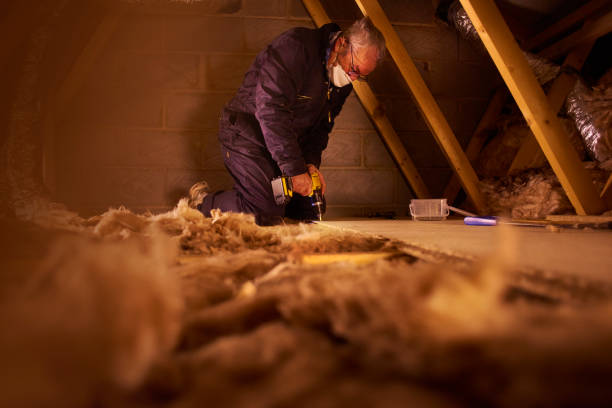 Best Home Insulation Services  in Whiteman Af, MO